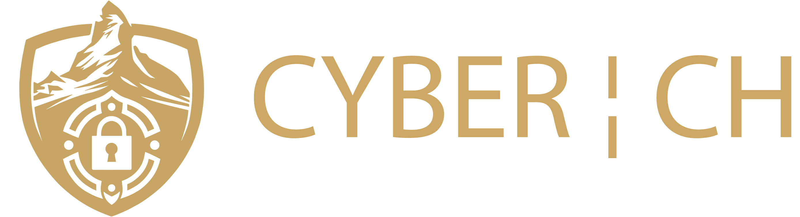 Cyber ¦ CH